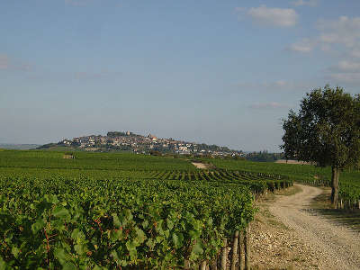 Sancerre route jacques c ur guide du tourisme du centre val de loire