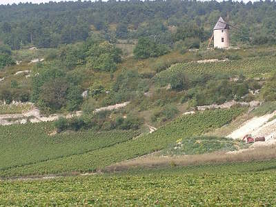Santenay vignoble au pied du moulin sorine routes touristiques en saone et loire guide du tourisme en bourgogne