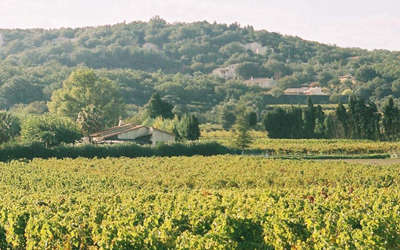 Saze route des vins de roquemaure a remoulins guide touristique du gard