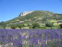 Sederon routes touristiques des alpes de haute provence guide touristique de la provence alpes cote d azur