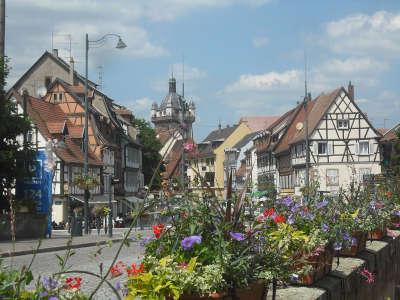 Selestat la vielle ville route touristique du bas rhin guide du tourisme d alsace