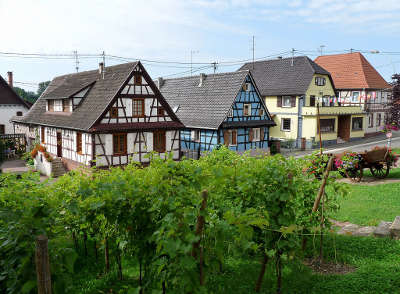 Soufflenheim maisons a colombage et vigne sur la route des potiers dans le bas rhin routes touristiques en alsace