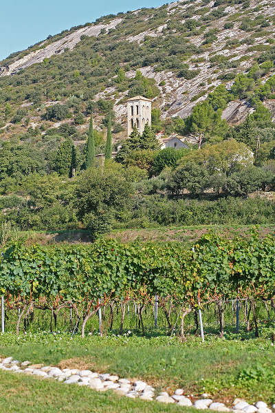 Sur la commune de beaumes de venise au pied des dentelles de montmirail entouree par les vignes l eglise notre dame d aubune route des vins des cotes du rhone