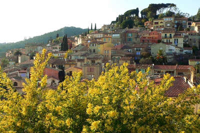 Sur la route du mimosa guide touristique provence alpes cote d azur