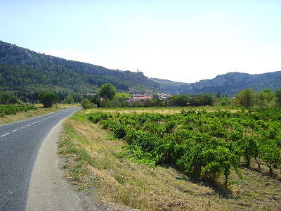 Tautavel route des vins d agly guide du tourisme dans les pyrenees orientales