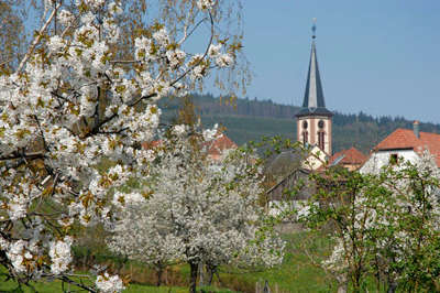 Thannenkirch route de la biere guide du tourisme alsace