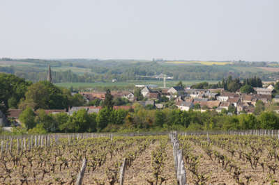 Thore la rochette route des vins du val de loire la vallee du loir guide du tourisme de loir et cher