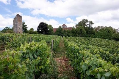 Toulouse le chateau vignobles routes touristiques du jura guide du tourisme de franche comte