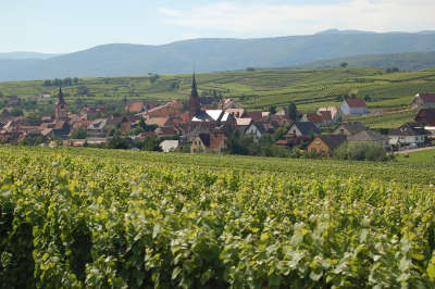 Traenheim route des vins d alsace guide du tourisme de l alsace
