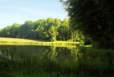 Typique du paysage du sundgau l etang a carpes ici a durmenach route des carpes frites guide touristique du haut rhin alsace