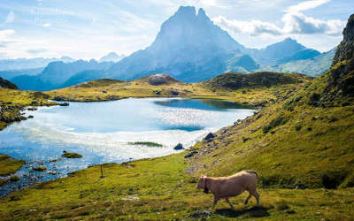 Vallee d ossau routes touristique des Pyrénées-Atlantiques guide du tourisme Aquitaine