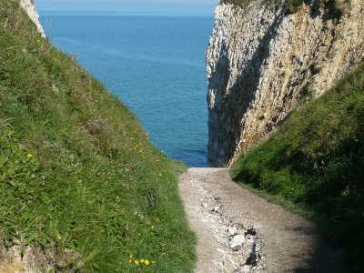 Varengeville sur mer gorge de l ailly routes touristiques de seine maritime guide touristique de la haute normandie