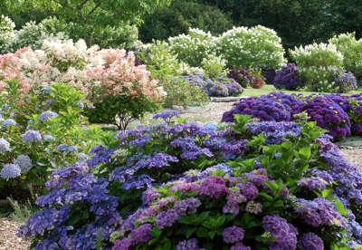 Varengeville sur mer jardin shamrock routes touristiques de seine maritime guide touristique de la haute normandie