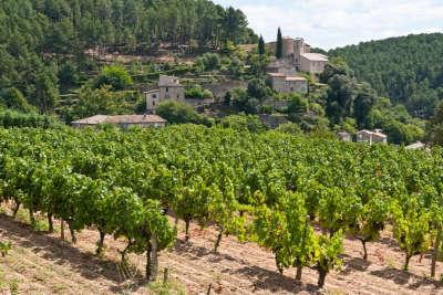 Vernon le vignoble routes touristiques de l ardeche guide du tourisme rhone alpes