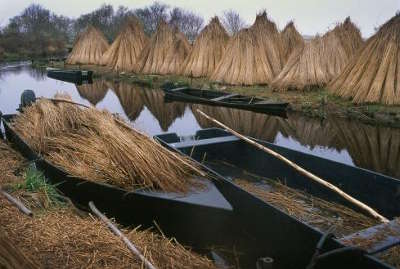 Village de kerhinet dans la briere parc regional de la briere loire atlantique pays de la loire