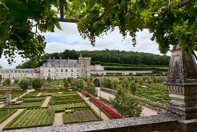 Villandry route des vins de tourraine rive gauche entre saumur et chenonceaux