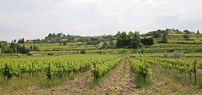 Villedieu route des vins de la la drome provencale guide du tourisme de la drome