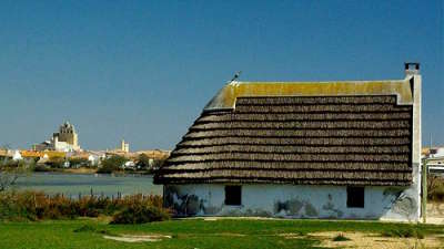 Visitez la camargue et la petite camargue parc national de camargue