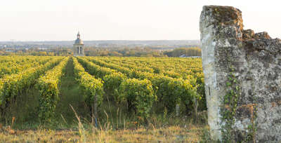 Vouvray route des vins de tourraine rive gauche entre saumur et chenonceaux