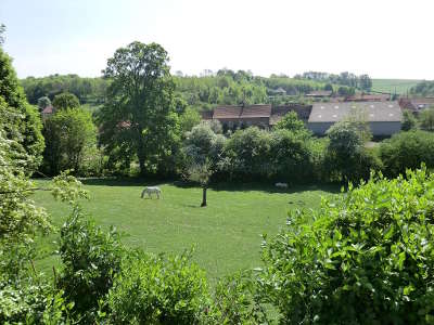 Vue sur une parcelle en herbe paturee par un cheval guide touristique du nord pas de calais