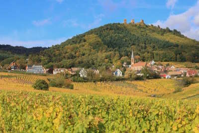 Wintzenheim ruines des 3 chateaux route des 5 chateaux guide touristique du haut rhin alsace